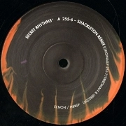 FRIEDMAN & LIEBEZEIT  / SECRET RHYTHMS+
