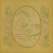 BIMIDORI / Ｕｍ　ｎｏｒｔｅ　ａｒｂｏｒｉｚａ