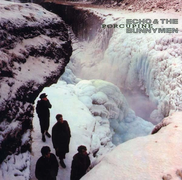 ECHO & THE BUNNYMEN / エコー&ザ・バニーメン / PORCUPINE (VINYL)