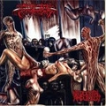 BOWEL STEW / NECROCOITAL AMPUTORGY