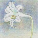 where is my mind? / Ｌｉｌｙ