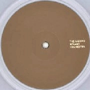 ANALOG ROLAND ORCHESTRA / DIMENSION PART 2