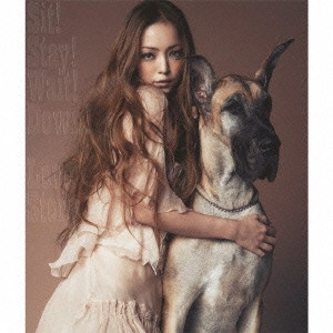 NAMIE AMURO / 安室奈美恵 / Sit! Stay! Wait! Down!/Love Story / SIT! STAY! WAIT! DOWN!/LOVE STORY