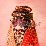 Tokyo Flashback / V.A.(Tokyo Flashback) / Ｔｏｋｙｏ　Ｆｌａｓｈｂａｃｋ　８