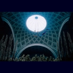 Yoshiki Iwanaga / Ｓｈｅｄ　ａ　ｌｉｔｔｌｅ　ｌｉｇｈｔ