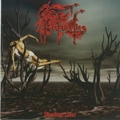 PROFANATICA / BROKEN JEW