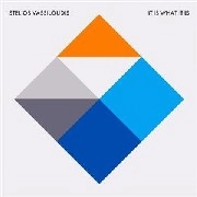 STELIOS VASSILOUDIS / It Is What It Is 