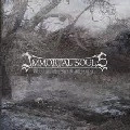 IMMORTAL SOULS / イモータル・ソウルス / IV:THE REQUIEM FOR THE ART OF DEATH