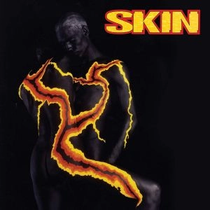 SKIN (METAL) / スキン (METAL) / SKIN