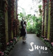SHIHO / 夢うつつ
