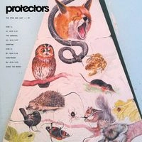 PROTECTORS / STEM AND LEAF