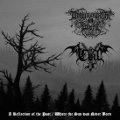 SPLIT (DROWNING THE LIGHT / EVIL) / SPLIT