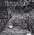 ILDJARN / FOREST POETRY