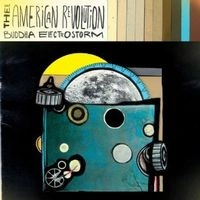 THEE AMERICAN REVOLUTION / BUDDHA ELECTROSTORM