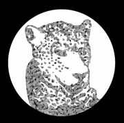 TENSNAKE / テンスネイク / NEED YOUR LOVIN
