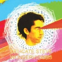 DELICATE STEVE / デリケート・スティーヴ / ワンダーヴィジョンズ