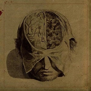 FARSOT / INSECTS<DIGI>
