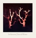 SOL INVICTUS / TREES IN WINTER