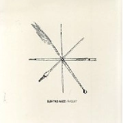 ELEKTRO GUZZI / エレクトロ・グッツィー / PARQUET LP