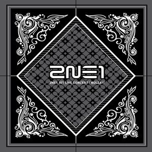 2NE1 / 1ST LIVE CONCERT NOLZA!