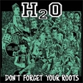 H2O (PUNK) / エイチツーオー / DON'T FORGET YOUR ROOTS