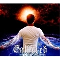 WE THE GATHERED / BELIEVER