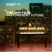 V.A.(MOUSSE T./BORIS DLUGOSCH/CUNNIE WILLIAMS FEAT. MONIE LOVE...) / JAM FILES