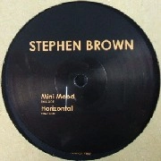 STEPHEN BROWN / MINI MOOD/HORIZONTAL