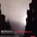 GRIGORY SOKOLOV / グリゴリー・ソコロフ / BEETHOVEN:DIABELLI VARIATIONS OPUS120