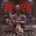 FLESH TORTURE / STENCH OF HUMANITY