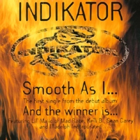 INDIKATOR / SMOOTH AS I...