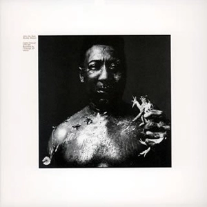 MUDDY WATERS / マディ・ウォーターズ / AFTER THE RAIN