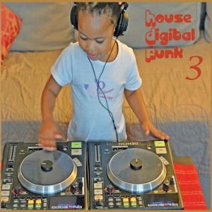 V.A. (HOUSE DIGITAL FUNK) / HOUSE DIGITAL FUNK VOL.3