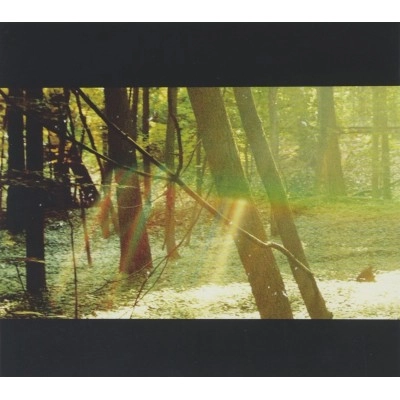 CHILDISH GAMBINO / チャイルディッシュ・ガンビーノ / "CAMP ""CD"""