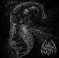 ILL OMEN / DIVINITY THROUGH UN-CREATION