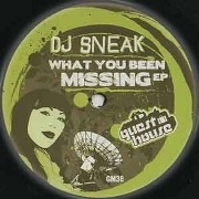 DJ SNEAK / DJスニーク / WHAT YOU BEEN MISSING