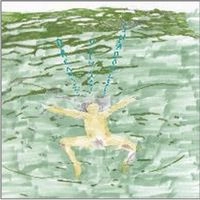 DUSTIN WONG / ダスティン・ウォン / DREAMS SAY， VIEW， CR