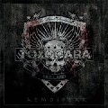 TOXOCARA / ATMOSFEAR
