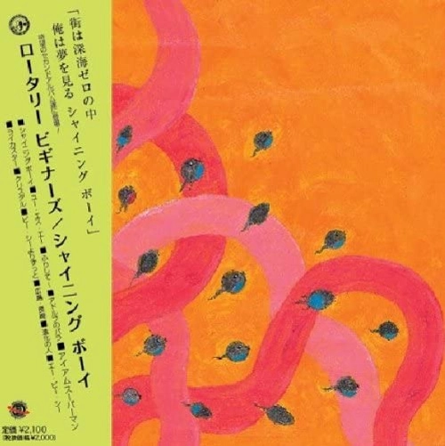 ROTARY BEGINNERS / ロータリービギナーズ / シャイニングボーイ