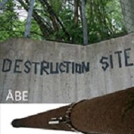 ABE / DESTRUCTION SITE