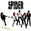 SPIDER (from NY) / ビトウィーン･ザ･ラインズ