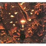 DAVE STEWART/BARBARA GASKIN / デイヴ・スチュワート&バーバラ・ガスキン / THE BIG IDEA SPECIAL EDITION