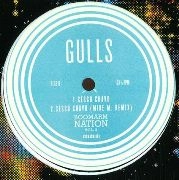 GULLS / BOOM MIAMI