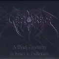 LEMURES / BLACK CEREMONY IN HONOR TO SATHANAS<DIGI>
