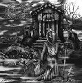 AMNION / CRYPTIC WANDERINGS
