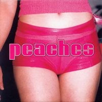 PEACHES / ピーチズ / TEACHES OF PEACHES
