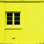 WHITE ASH / ホワイト・アッシュ / Ｋｉｄｄｉｅ　　　　　　　　　