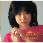 MAIKO KAWAKAMI / 川上麻衣子 / 夢みて･･･+4 COMPLETE RADIO CITY YEARS