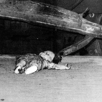 CICCIOLINA HOLOCAUST / ALBEIT ALBEIT / SIBELIUS SPIDERS