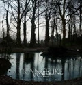 TRANCELIKE VOID / WHERE THE TREES CAN MAKE IT RAIN
